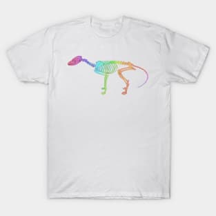 Fox Skeleton Rainbow T-Shirt